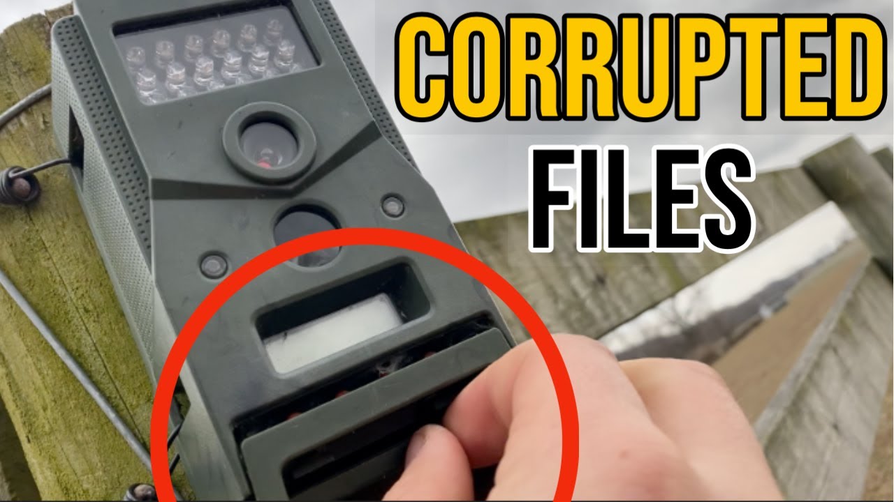 File Corrupted Camera Checking TRAIL CAMERAS After 2 WEEKS (STUPID Corrupted Files) - YouTube