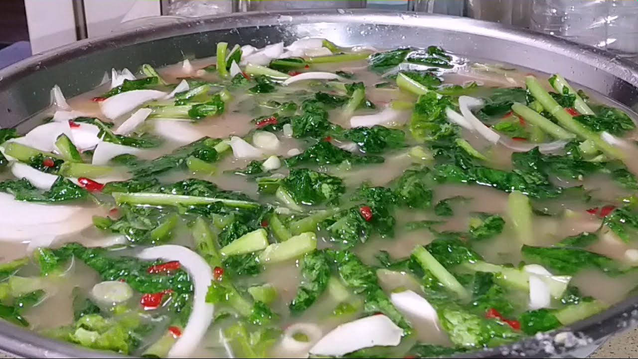 톡! 쏘는 국물이 시원하고 맛있는 보리 열무김치 - YouTube 톡! 쏘는 국물이 시원하고 맛있는 보리 열무김치 - Youtube