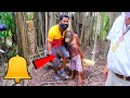 ഇങ്ങനെയൊക്കെ ചെയ്യാമോ | Safari Park Thailand | M4 Tech |