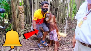 ഇങ്ങനെയൊക്കെ ചെയ്യാമോ | Safari Park Thailand | M4 Tech |