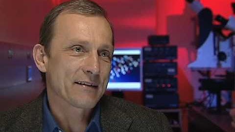 Forensic Investigation Enhanced by Raman Spectroscopy Research at UAlbany