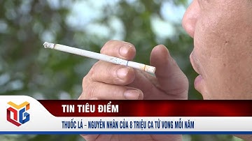 Thuốc lá – Nguyên nhân của 8 triệu ca tử vong mỗi năm