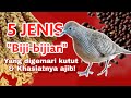 5 JENIS MAKANAN KUTUT yang paling digemari dan mempunyai khasiat luar biasa!