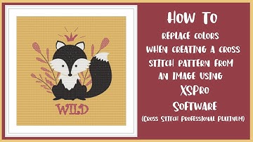 How to Replace Colors with XSPro Cross Stitch Software