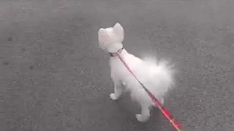 trim 07344490 5FFB 4751 8360 7A3C95C60C79