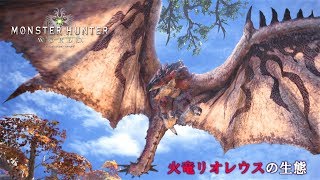 【MHW】火竜リオレウスの生態（字幕付き）