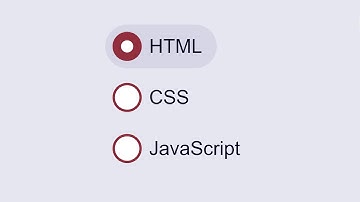 Custom Pill Styled Radio Buttons (HTML & CSS)