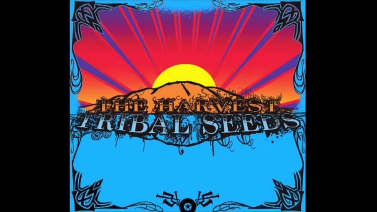 Tribal Seeds - Mad Man