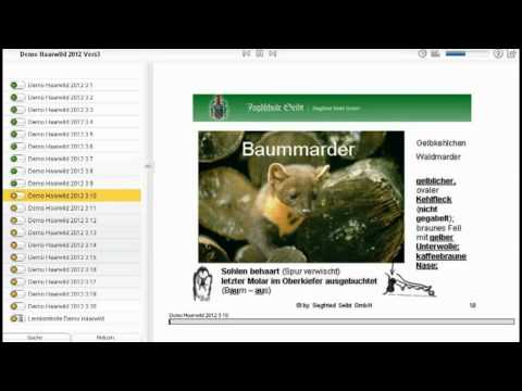 Demovideo eLearning Jägerprüfung