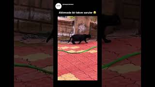 Herkesin Hamile Olmasına Şaşıran Adam