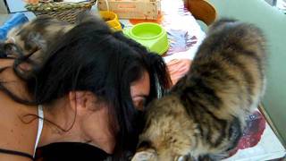 DSCN3384.AVI