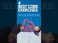 Your 4 PHYSIO ❤️‍🩹 Safe Core Exercises for BEGINNERS