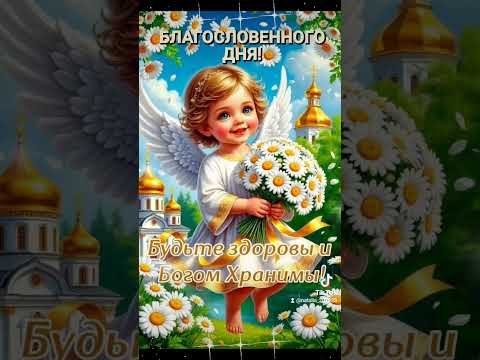 С добрым, прекрасным, летним, августовским утром вторника мои любимые друзья! #сдобрымутром