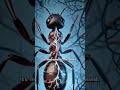 Why Ants Climb to Their Death(It’s Not What You Think).#nature #foryou #for #wildlife #creepy #usa