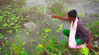 Best Hook Fishing | Asian Traditional Fishing with Hook | Fishing in Village by @ABTVbd