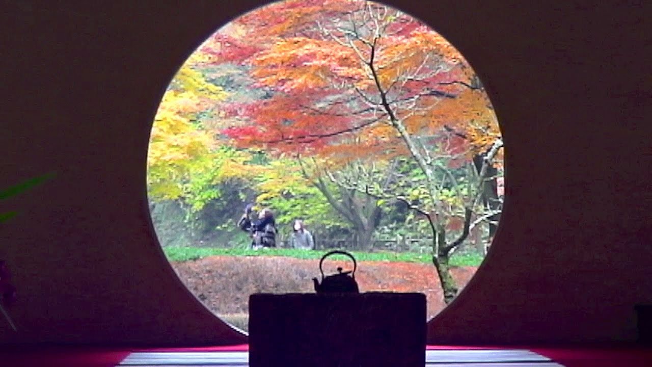 明月院の紅葉とリス あじさい寺の秋景色ｰ鎌倉観光 Autumn Colors And Squirrel In The Hydrangea Temple Of Kamakura Meigetsu In Youtube