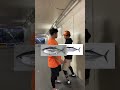 最強を決めます #tiktok