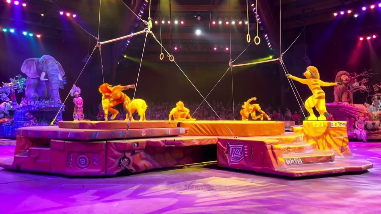 The Festival of the Lion King ~ front row, full show.