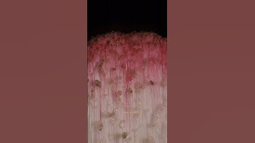 ASMR Painting Brush melting process close-up macro #shorts #satisfying #closeup #asmr #macro