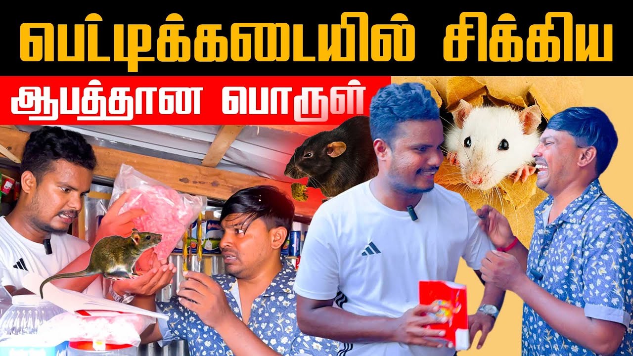 எலிகள் குவிந்த பெட்டிக்கடை / திடீரென பூட்டப்பட்டது | Akkuddiyum pichumaniyum | Tamil comedy