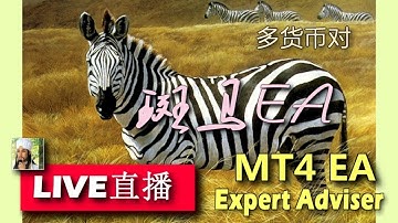 mql4 | mql | mq4 | 001.学习编写ea.高级.202008..斑马ea.添加图片
