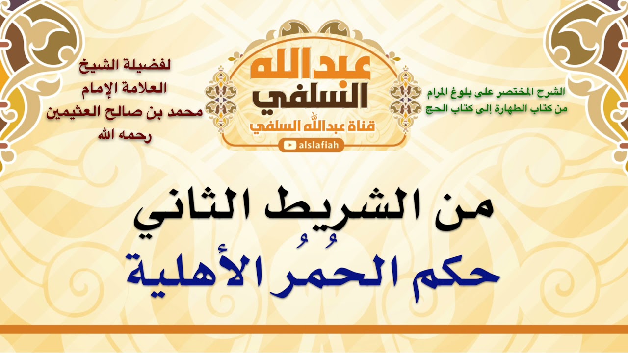 الشيخ ابن عثيمين : حكم الحُمُر الأهلية