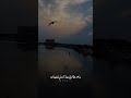 أبشرك خلصو ما بقوا عندي هواي ايهاب المالكي