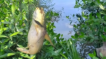 Giao lưu cùng bạn Hoàng Anh ở An Thới Đông - Cần Giờ