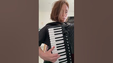 🪗 #accordion #pigini #practice #musician
