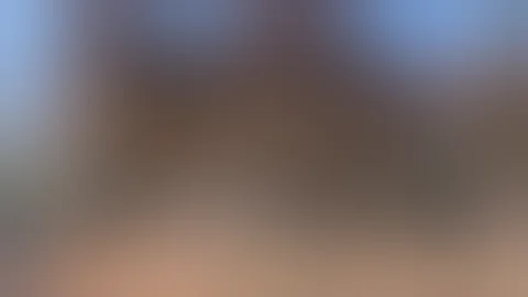 WhatsApp Video 2025 12 19 at 18 56 49