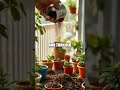 Tiny Repurposing Wins for Everyday Sustainability