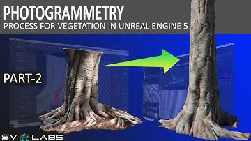 Photogrammetry process for Vegetation in Unreal Engine 5 - Part 2