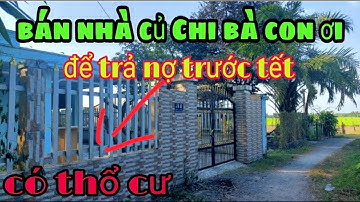 Nhà đất TMT Củ Chi giá rẻ, bán nhà cấp 4 | 10 x 40 | sổ hồng riêng thổ cư 150m.