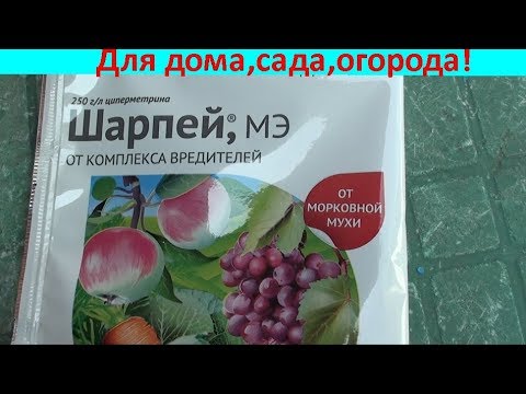 Хорошее средство от жука и луковой мухи !!! - YouTube