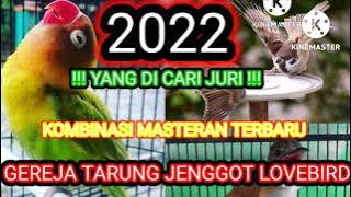 MASTERAN KOMBINASI TERDAHSYAT 2022 GEREJA TARUNG JENGGOT LOVEBIRD