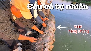 Câu Cá Hồ Tự Nhiên – Chưa Kịp Nghỉ Tay ĐÃ LÊN THÊM HÀNG KHỦNG