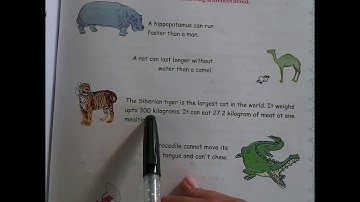 std 6 english_(sem2) unit 2 activity 2