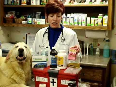 Pet First Aid with Dr. Bonnie Jones
