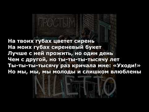 NILETTO - Сирень (трек + текст )