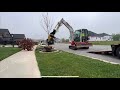 Replacing a dead tree with ease  takeuchi tb240 w engcon tilt rotator