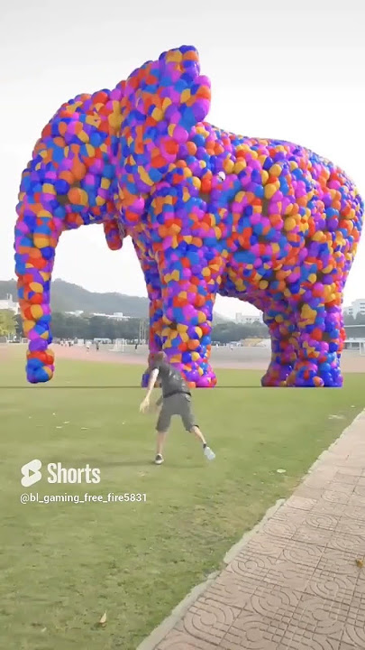 wow amazing elephant #shorts #funny ⁶