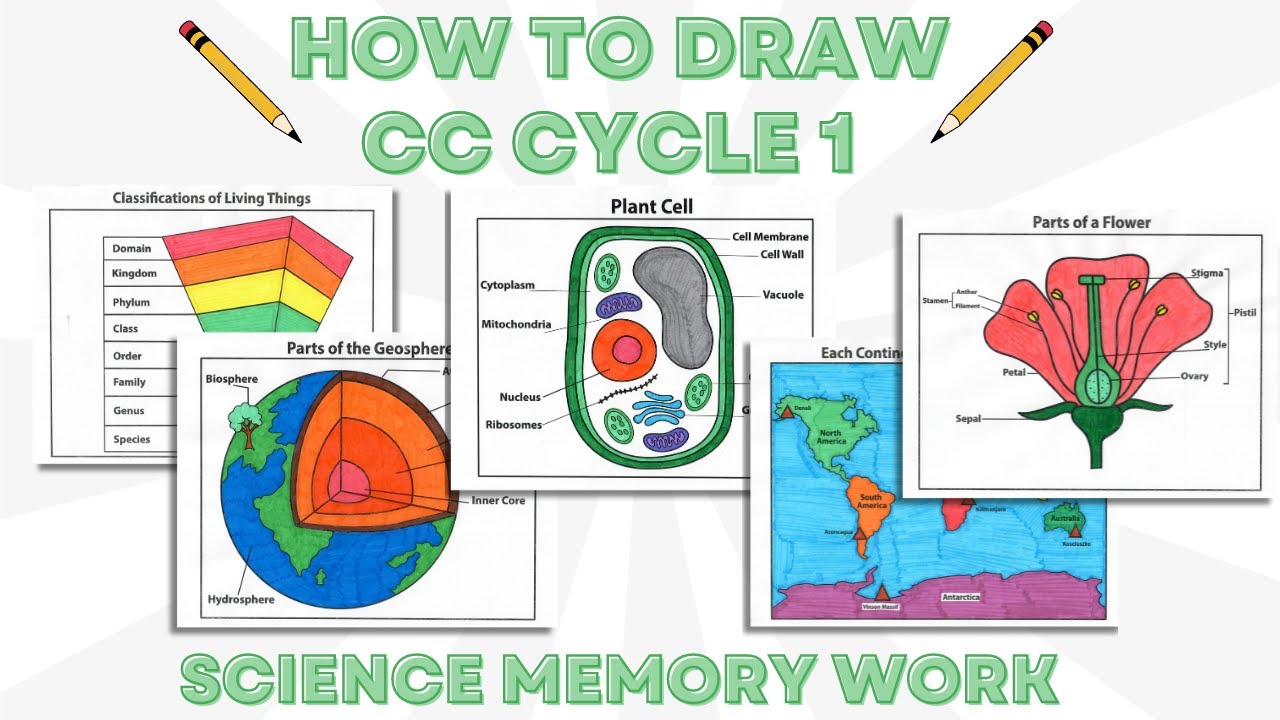 FLIP THROUGH EBOOK CC CYCLE 1 SCIENCE HOW TO DRAW MEMORY WORK - CLASSICAL CONVERSATIONS