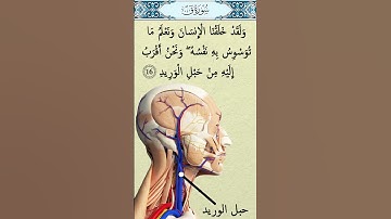 سورة ق الآية 16 لفضيلة الشيخ محمد خليل حفظه الله تعالى