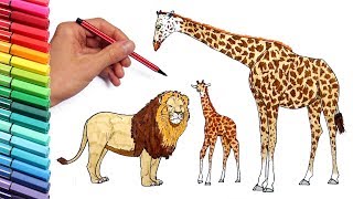 How to Draw Wild African Animals Elephant Lion Giraffe Color Pages for Childrens