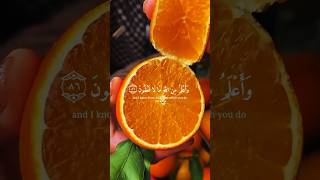 Almighty Allah, juicy fruit creations #quran #allah #bismillah #muhammad #eid #surah #youtubeshorts