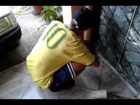 Salvando o Gato - YouTube