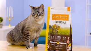 chewy instinct cat food