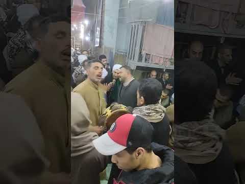 الشيخ محمد حماده من مولد السيدة زينب 2023 