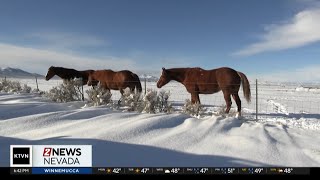 Nevada Backroads: 2025 seasons described by words and music