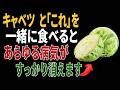 キャベツと一緒に食べれば薬より良い食材3つ!秘伝レシピ2選と相性の悪い食材まで完全解説|高齢者の健康